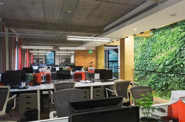 辦公室植物風水擺放禁忌